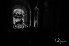 533_Simonas_Lukosevicius©